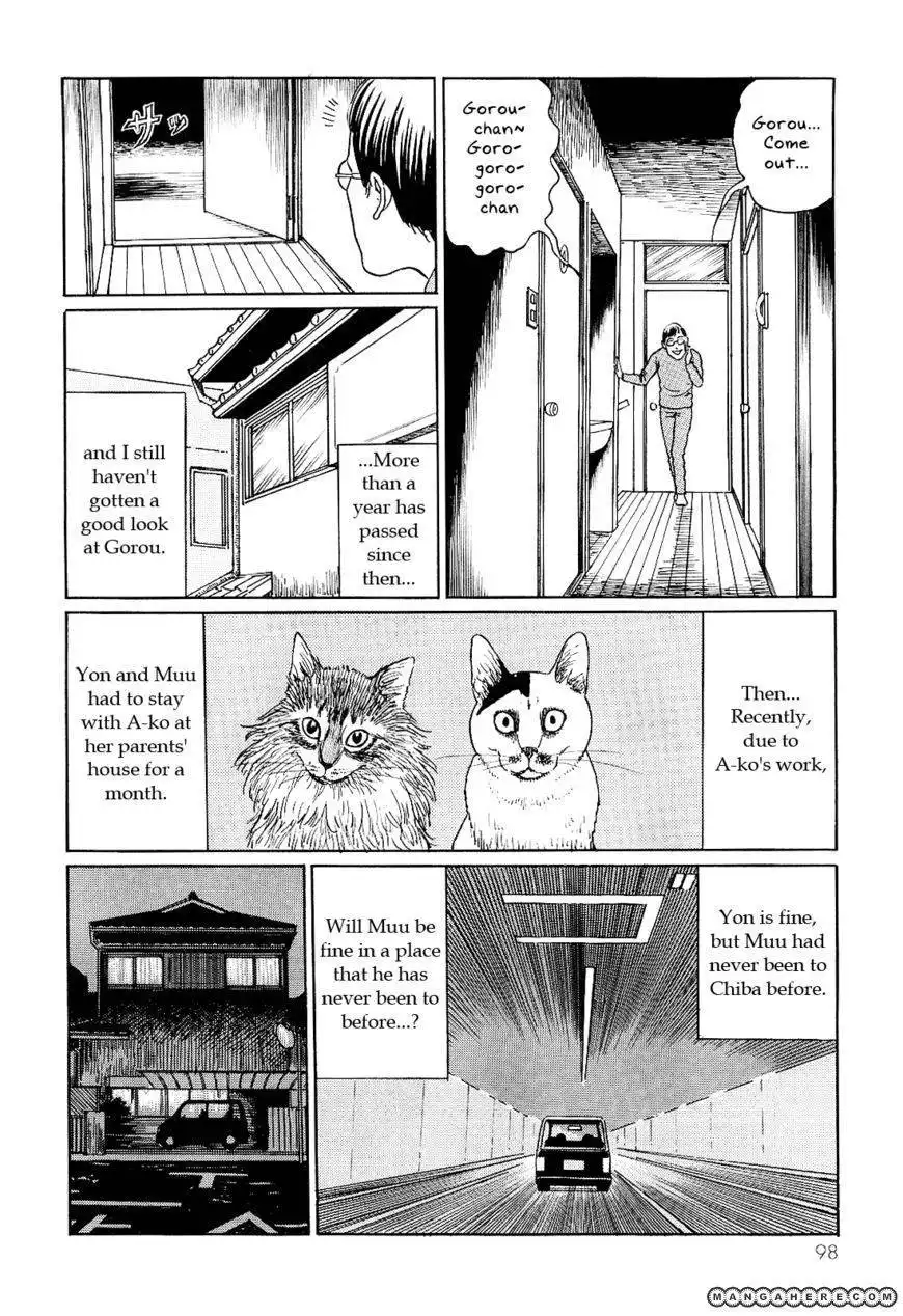 Ito Junji's Cat Diary Chapter 9 8